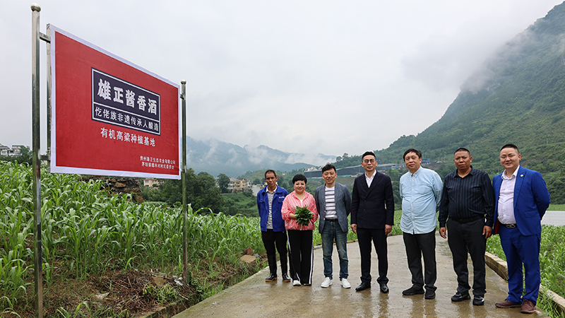 廈門大學(xué)新聞傳播學(xué)院鄒振東教授蒞臨雄正酒業(yè)集團交流合作