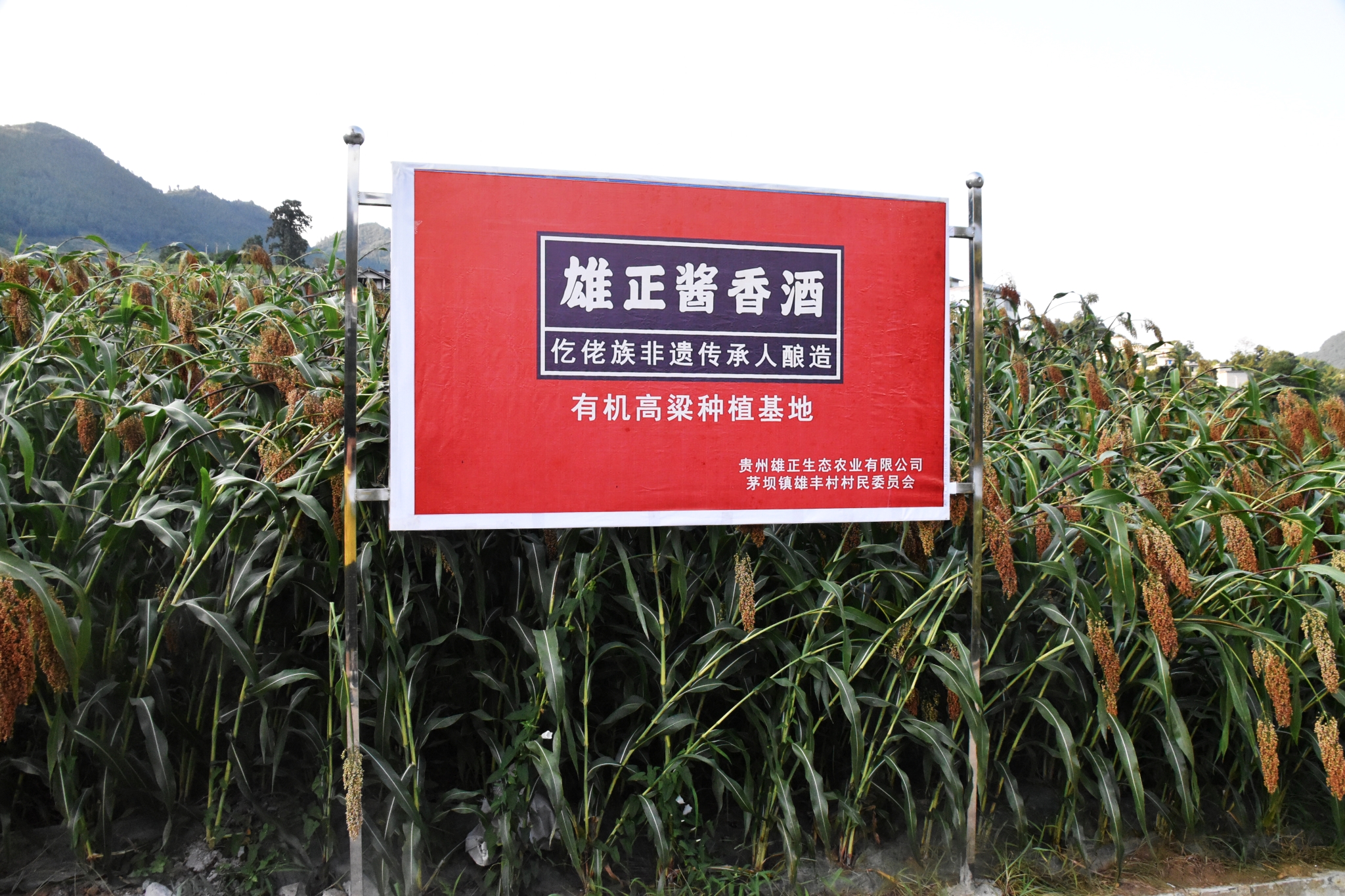 微信圖片_202306121800100.jpg