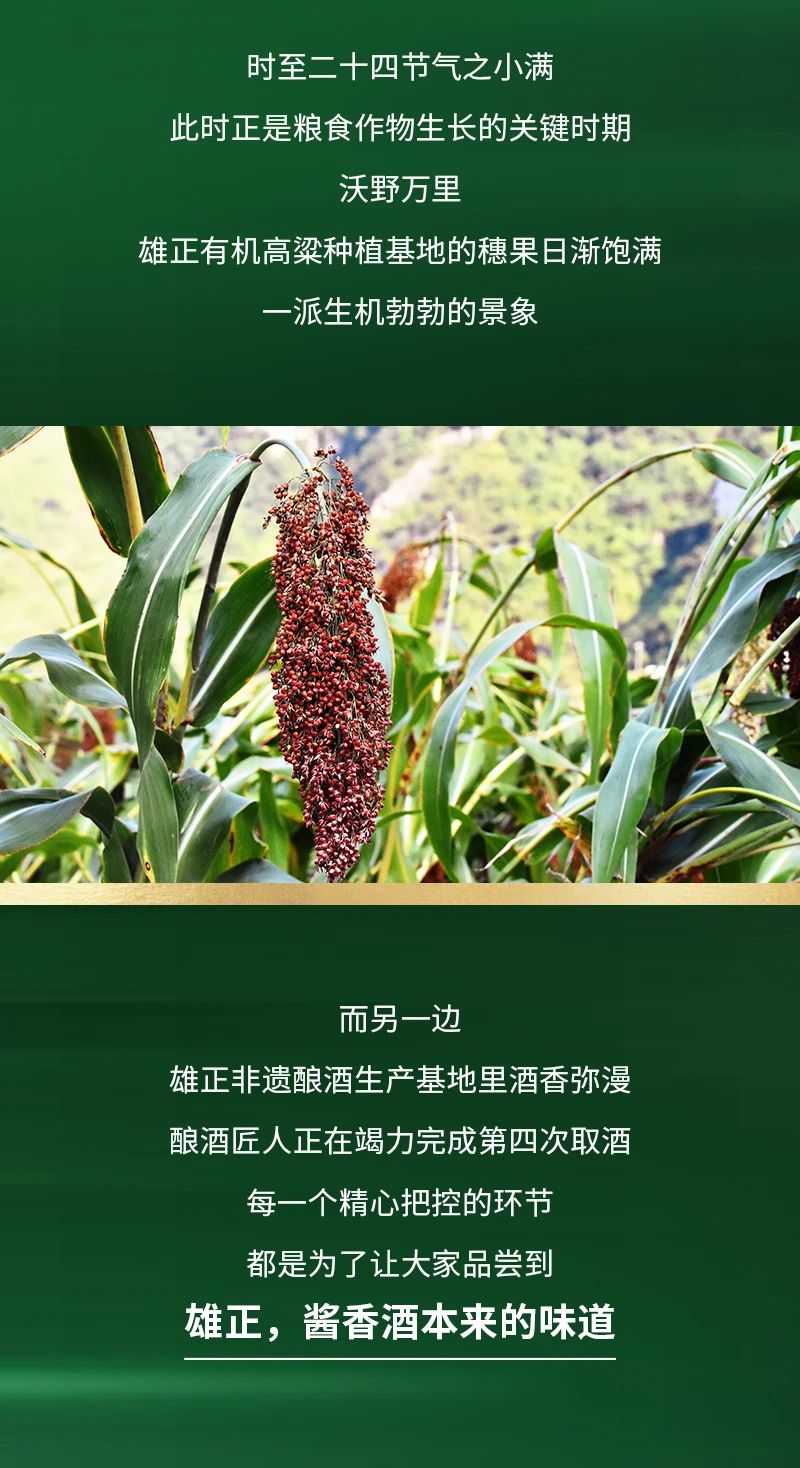 微信圖片_20250312133318.jpg