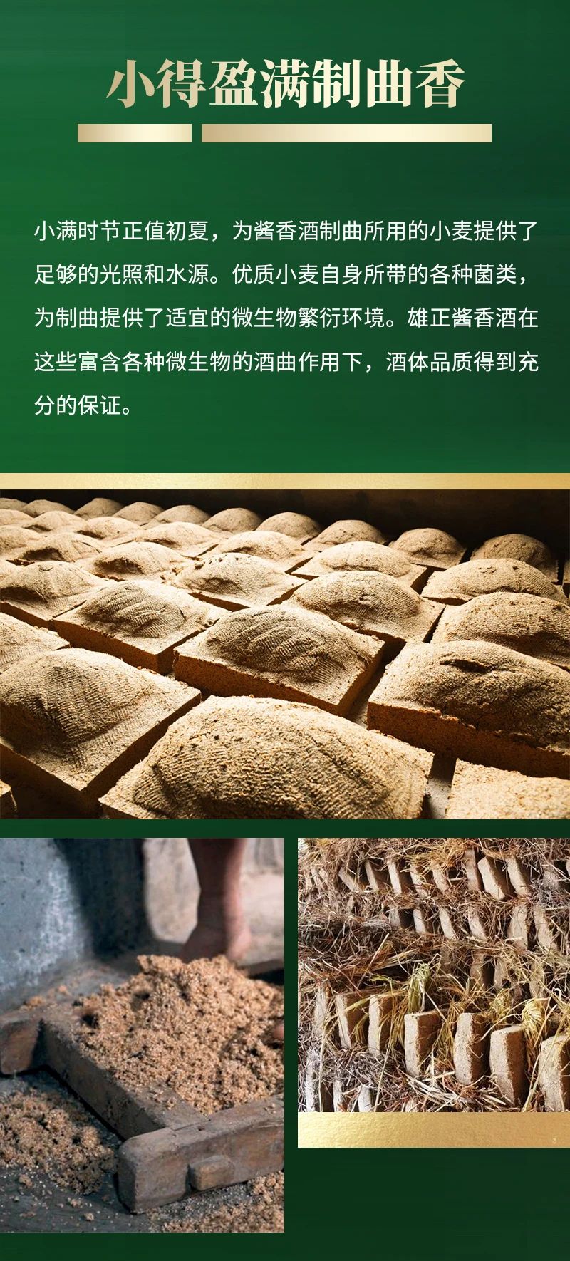 微信圖片_20250312133324.jpg